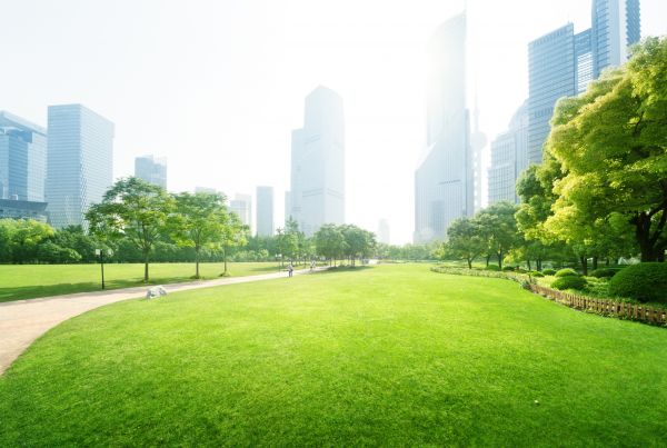 Commercial Landscape Maintenance in Sugar Land