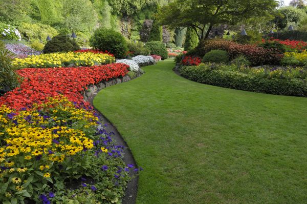 Landscaping Maintenance in Sugar Land