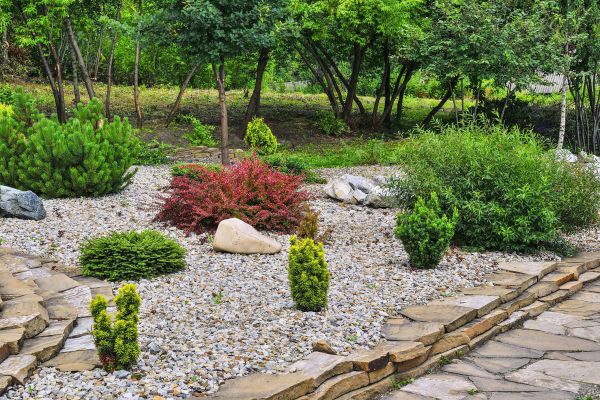Rock Landscaping in Sugar Land