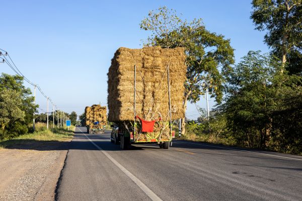 Pine Straw Delivery in Sugar Land