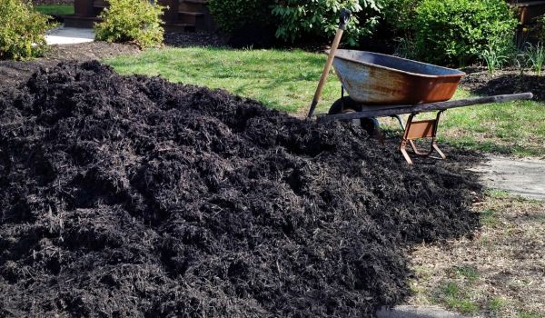 Black Mulch Delivery in Sugar Land
