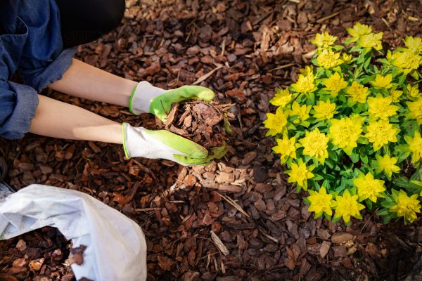 Garden Mulching in Sugar Land