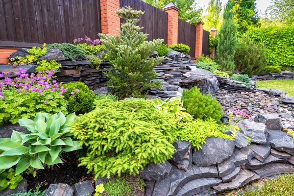 Landscape Remodeling in Sugar Land