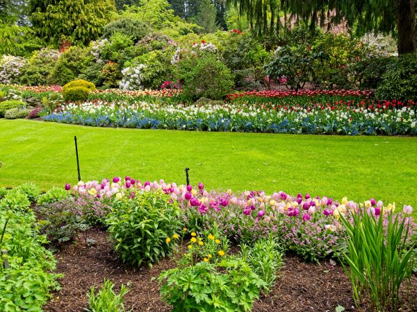 Residential Landscape Design in Sugar Land