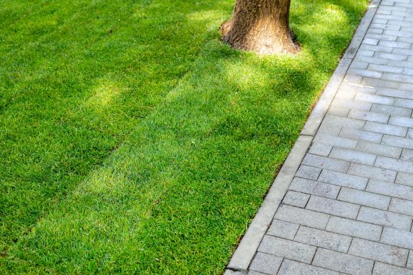 Border Stone Installation in Sugar Land