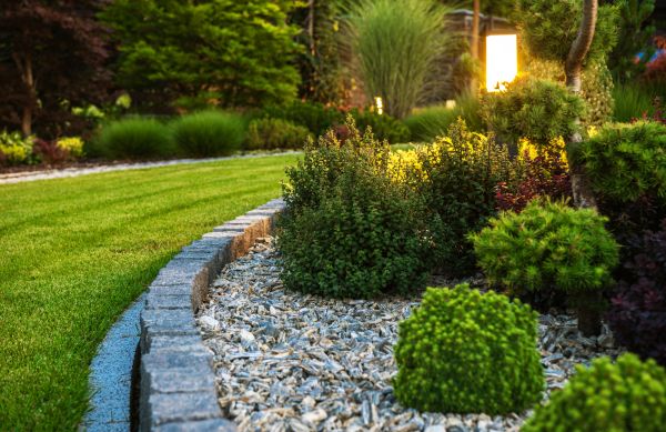 Landscaping Service in Sugar Land