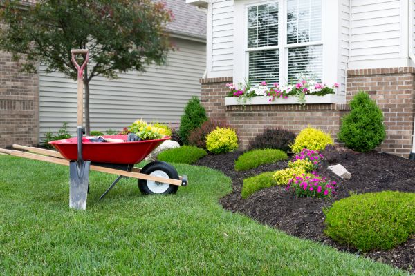 Tree And Shrub Planting in Sugar Land