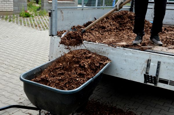 Landscape Mulch Delivery in Sugar Land