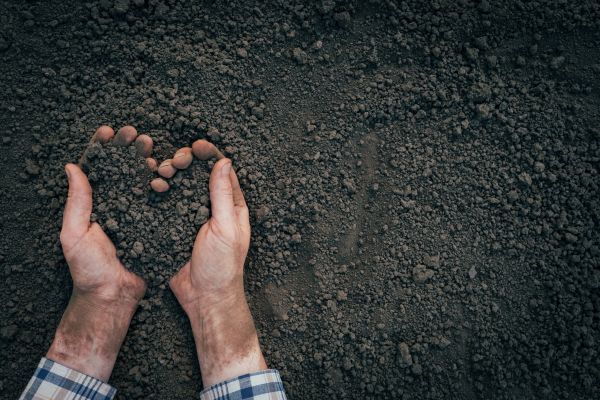 Soil Installation in Sugar Land