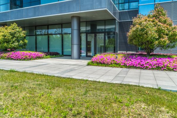 Commercial Gardening in Sugar Land