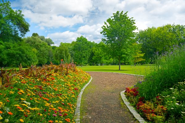 Park Landscaping in Sugar Land