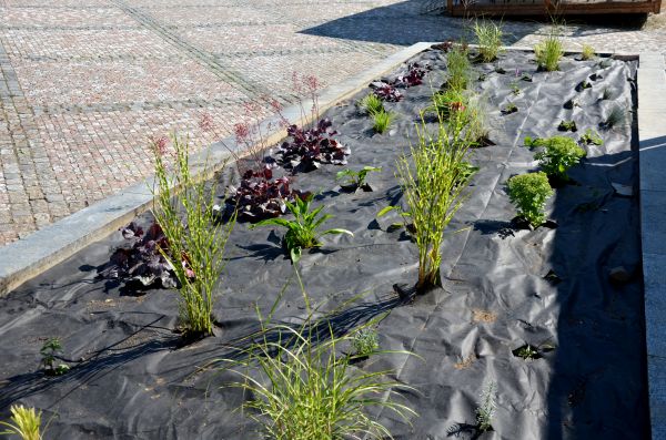 Landscape Fabric Installation in Sugar Land