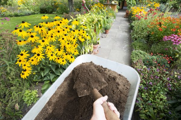 Topsoil Replacement in Sugar Land