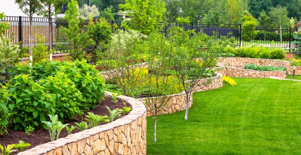 Yard Makeover Service in Sugar Land