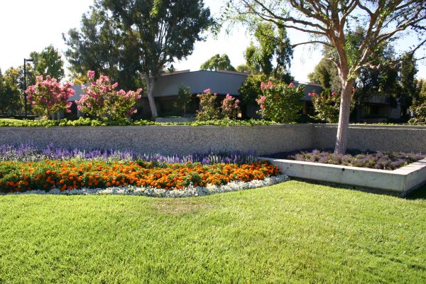 Commercial Landscape Service in Sugar Land