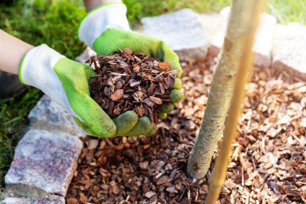 Tree Bark Delivery in Sugar Land