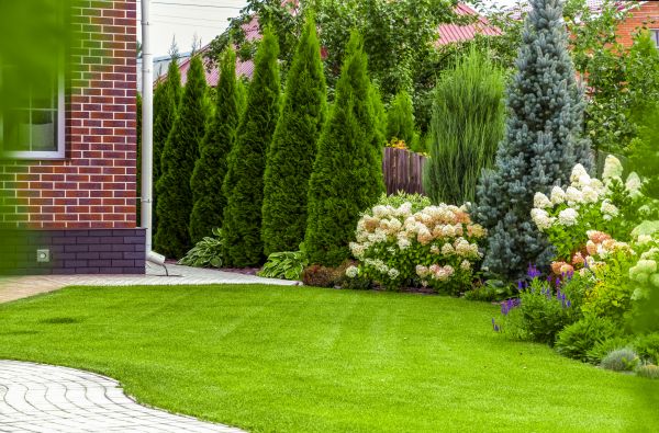 Spring Landscaping in Sugar Land