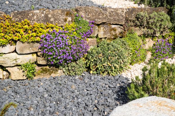 Landscaping Rocks Installation in Sugar Land