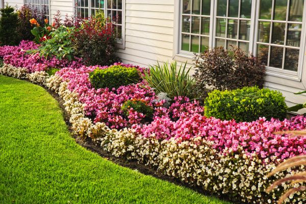 Garden Landscape Design in Sugar Land