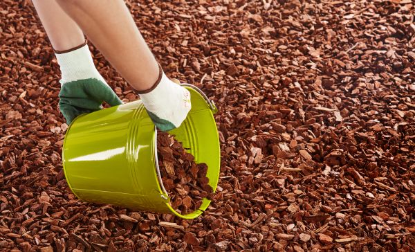 Wood Chip Landscaping in Sugar Land