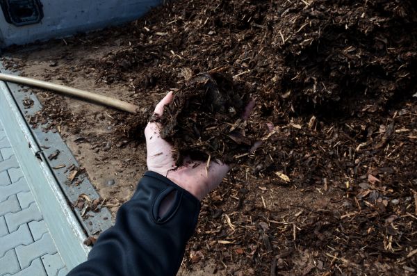 Condo Mulching in Sugar Land