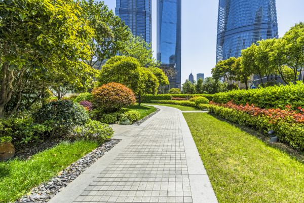 Commercial Landscaping in Sugar Land
