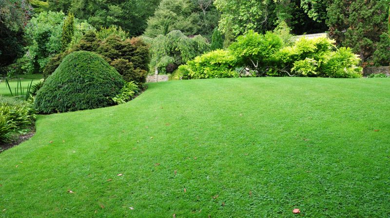 Lush Green Lawns