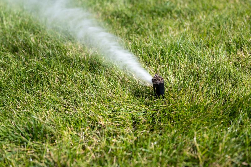 Lawn Sprinkler System in Winter